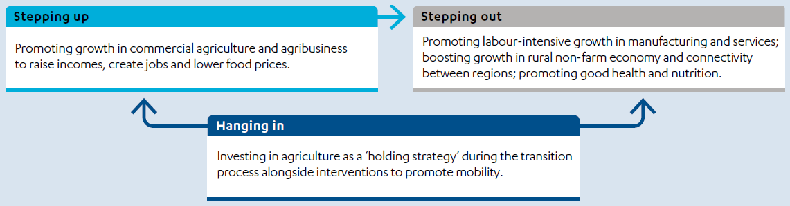 Infographic showing the strategies in DFID's Conceptual framework on agriculture