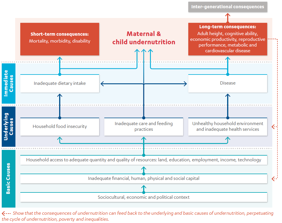 Conceptual framework of the determinants of child undernutrition leading to long and short term consequences