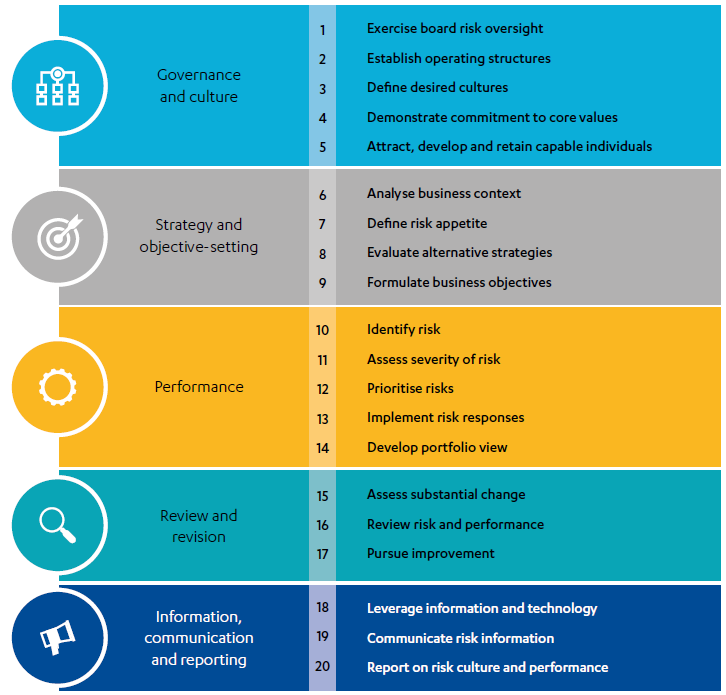 Infographic showing the 20 good practices for programme management according to the COSO framework.