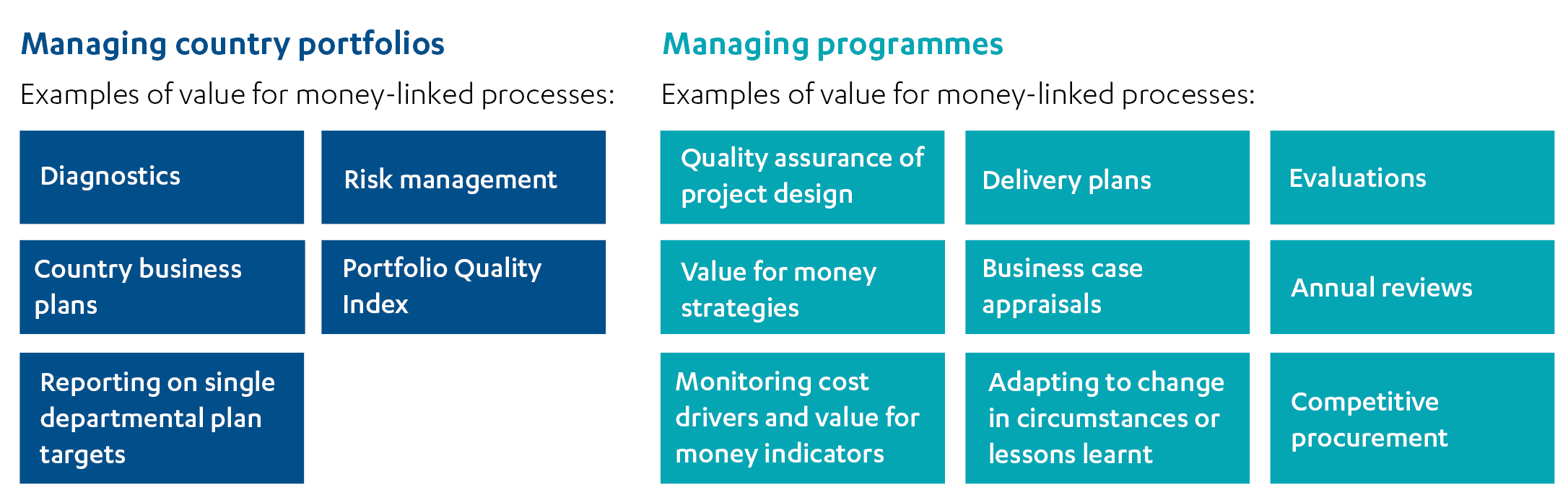 Graphic showing the components of DFID's programme and portfolio management processes addressing value for money.