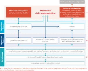 Conceptual framework of the determinants of child undernutrition
